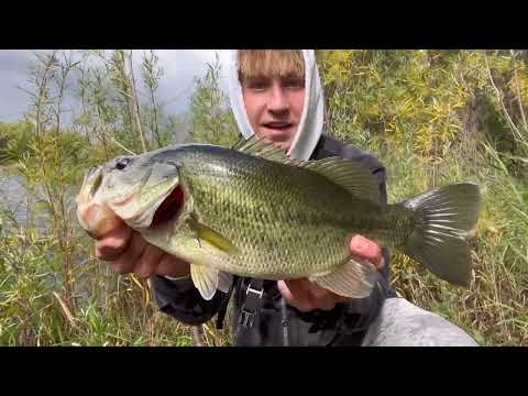 Giant Pike EATS AT MY FEET Insane Fall FLOODED Pond Fishing