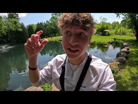 Fishing a Tiny Pond FULL of Trout