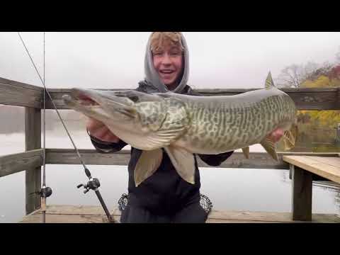 Insane GIANT TIGER MUSKY from the PUBLIC Dock Caught Sight