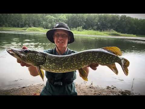 THUNDERSTORM causes the BIG FISH to Bite 50 Lure