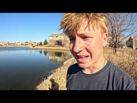 Hunting Schools of GIANT Wild Goldfish in Neighborhood Ponds