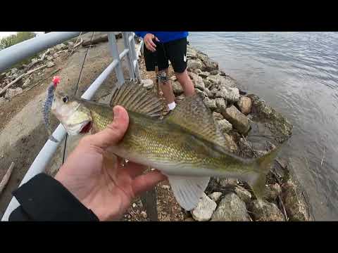 Walleye and Whitebass Fishing the FLOODED Mississippi River