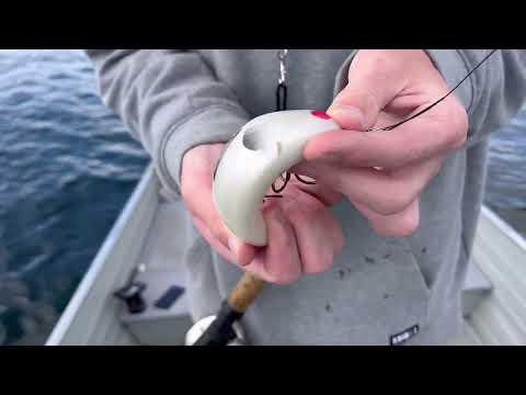 Minnesota MUSKY Fishing on Lake Minnetonka Next to Mansions