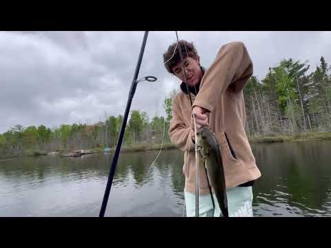 Paddleboat Fishing a Tiny Cabin Lake LOADED w Bass 35