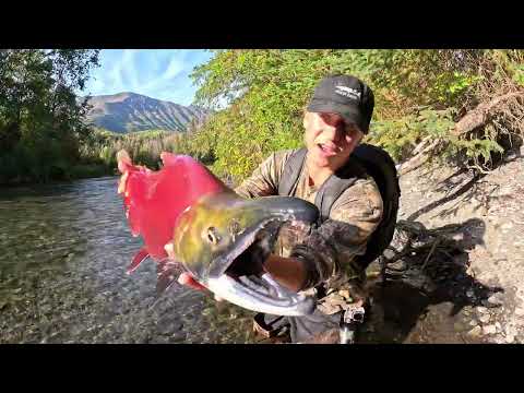 3 Days Fishing ALASKA Sockeye Salmon Hiking Exploring
