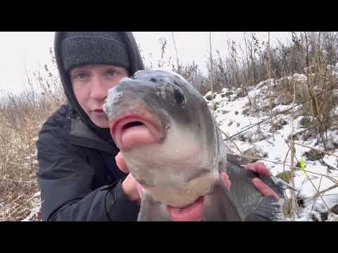The RAREST Fish of my LIFE was Living in this HIDDEN