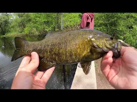 Fishing a FLOODED CREEK Loaded with SMALLMOUTH Bass