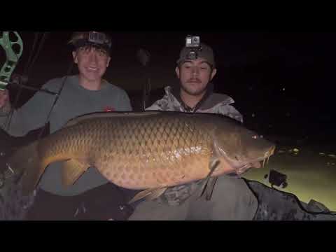 BowFishing Unofficial NEW STATE RECORD Carp Absolute Monster