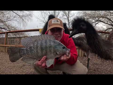 Summit of the Largest Sand Dunes in America Fishing with