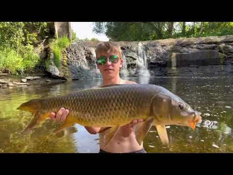 Dropping Corn in front of BIG CARP Waterfall Fishing
