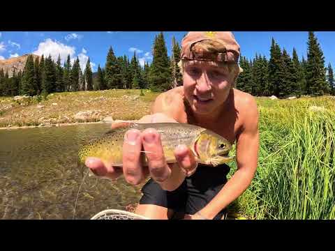 SOLO Backpacking in the Rocky Mountains Cutthroat Trout