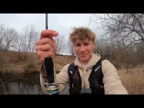 Fishing a Remote Creek in the Woods LOADED with Trout