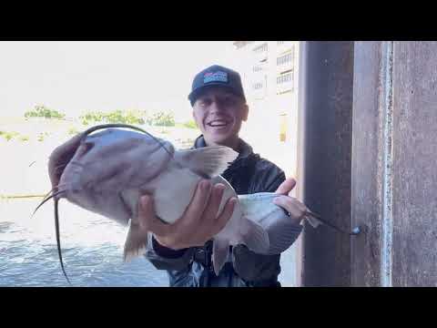 The MOST INSANE Fishing Day I VE EVER SEEN BIGGEST Walleyes