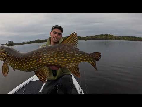 48 Hour Sweden Fishing Adventure Big Perch Pike Burgers