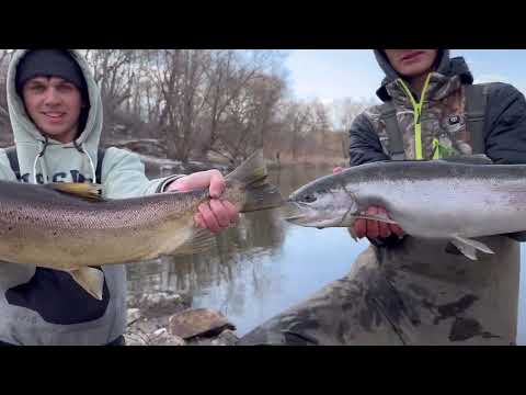 Catching TROPHY Trout in the MIDDLE of an URBAN City New