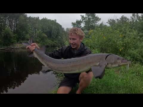 24 Hours Fishing Car Camping for Sturgeon