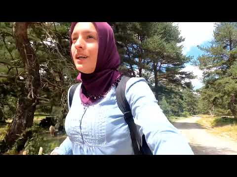 400 KOYUNA TUZ TEK BAŞINA YAYLA MACERASI AKŞAM MENÜSÜ