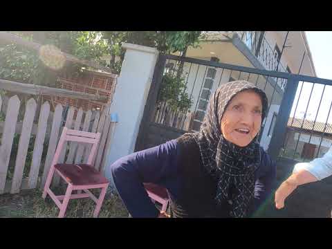 SÜRÜYE KURT SALDIRMIŞ BALYA YÜKLEME