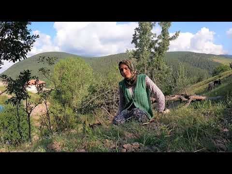 NURGÜL AKDOĞAN KİMDİR Köylü kızı SİZ SORDUNUZ BEN CEVAPLADIM