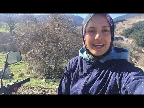 DAVARDA OLAN KUZUYU GETİRMEYE GİTTİM YENİ DOĞAN KUZUYA NE