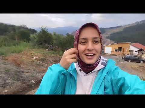 KÖYDE GÜNLÜK İŞLER Tavukları erkenden açtım buzağı bakımı