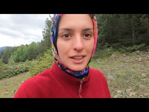 YILIN İLK MANTARLARINI TOPLADIM mantar yemeği