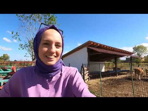 SAKARYA NIN BİR UCUNDAN BİR UCUNA GEZDİM