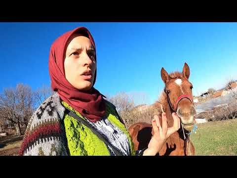 Bugün Kendime 1 Saat Vakit Ayırdım Alfa Geldi