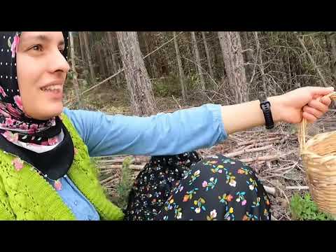 SEPET SEPET DAĞ ÇİLEĞİ TOPLADIK SOBANIN ÜSTÜNDE REÇEL