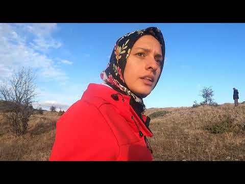 Babamın İsteği Üzere İnekleri Çok Aradık Bu Ayda Hasan dan