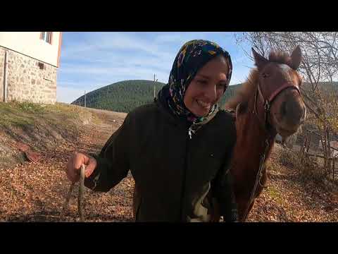 Ablam Eniştem Geldi Ata İlk Defa Bindik Hiç Böyle Tahmin