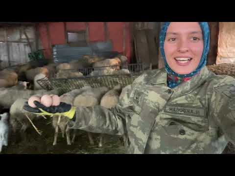 SABAH KAHVALTISINA HÖŞMERİM KAR YAĞDI HAYVANLARIN OTU