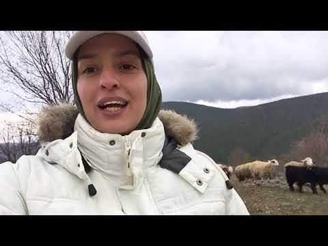 Çobanlık hayatım anılarım
