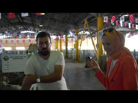 KÜÇÜKBAŞ FESTİVALİ 2022
