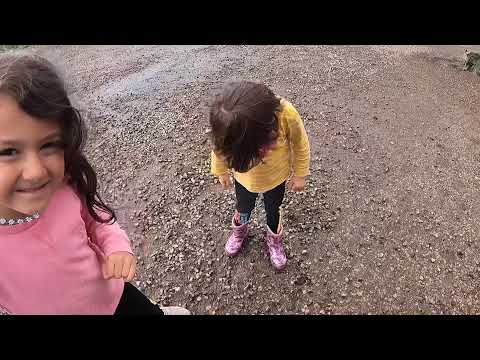 DAĞ EVİNDE ÖĞLE YEMEĞİ 10 TANE BUZAĞIYI ORMANA KAÇIRDIK