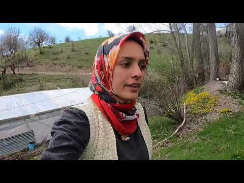 BİR ATV BİRDE HAYVANLARI VAR BELGESEL