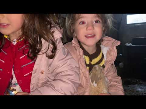 YEĞENLERLE SOBADA PİZZA MART KAPIDAN BAKTIRIR KAZMA KÜREK