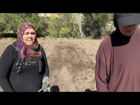 DAĞ EVİNDEKİ BEREKETLİ TOPRAKLAR