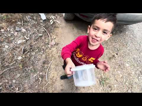 BÖYLE BİR YERDE YAŞAMAK İSTER MİYDİN