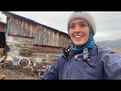 Bütün inekler dışarıya çıktı haşlama et ve incir tatlısı