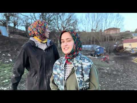 ÇİFTLİKTE ACEMİ YENİ İŞCİLER BESİCİ ÇİFTÇİLER