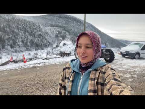 4 üz kuzularımız ineğin ilk sütünden avuz yapımı doğal köy