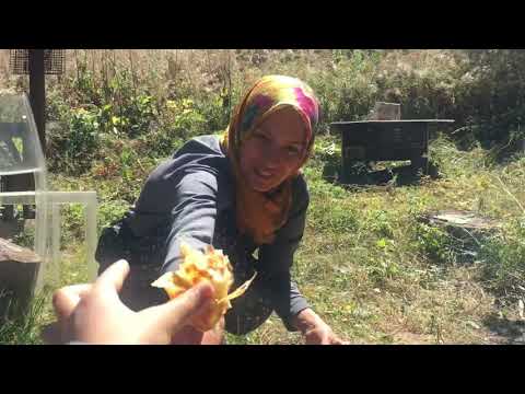 DAĞ EVİNDE BİR GÜN GÖZLEME YAPTIK