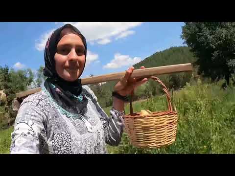 BOSTANDAN KOVALAR DOLUSU İLK FASÜLYEYİ TOPLADIK ÖĞLE YEMEĞİ