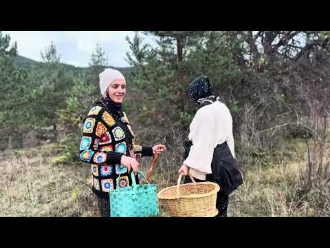 EN DEĞERLİ MANTARLARI BULDUK