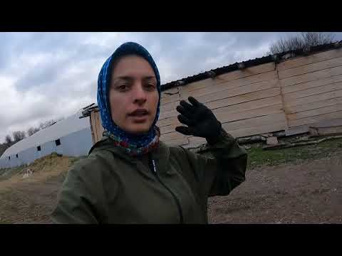 KÖPEK ÇİFTLİĞİ AÇIYORUZ EVDEKİ İŞLERİM
