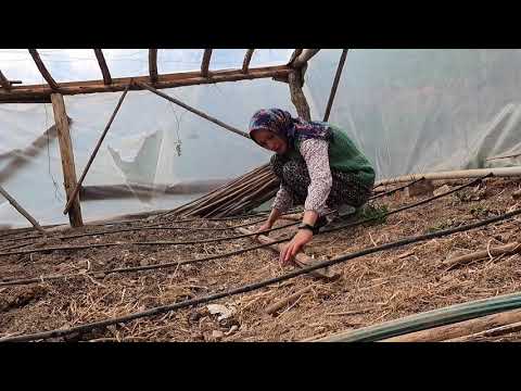 SEBZE FİDELERİMİZİ SERAYA DİKTİK İFTARA TENEKE TAVUK 2