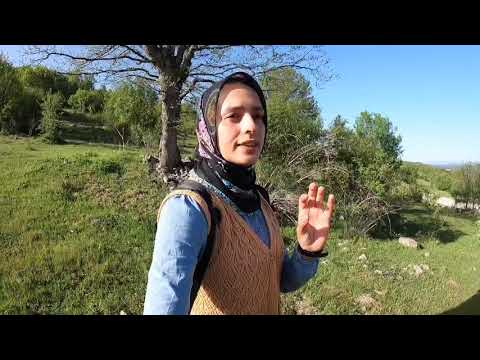 KOYUNLARI KEÇİLERİ KARIŞTIRDIK KEÇİ SAĞIMI