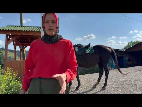 6 AYDIR YILKI ATI GİBİ GEZEN ATA BİNDİMM DELİLİK BU TAY