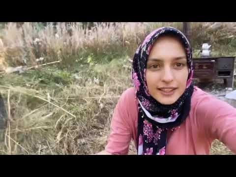 DAĞ EVİNDE BAZLAMA YAPTIM FASULYE TOPLADIK yanlış pişirilen